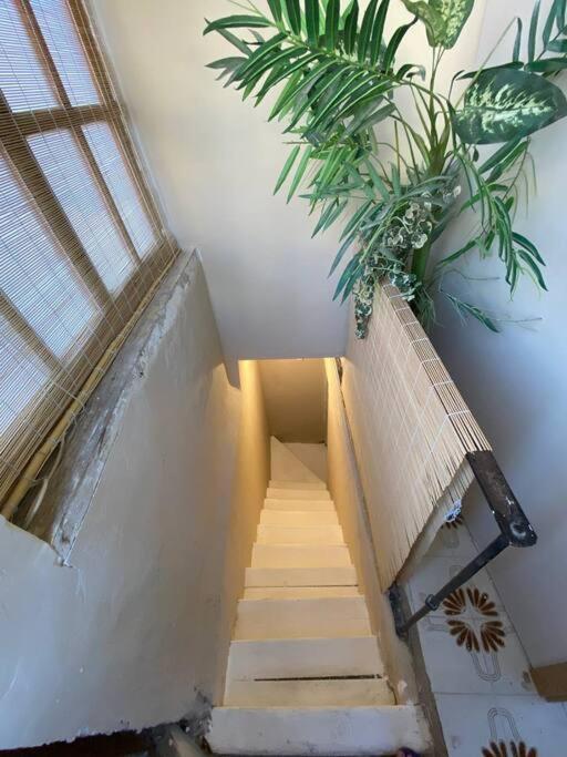 Azotea Elvira Appartement Granada Buitenkant foto